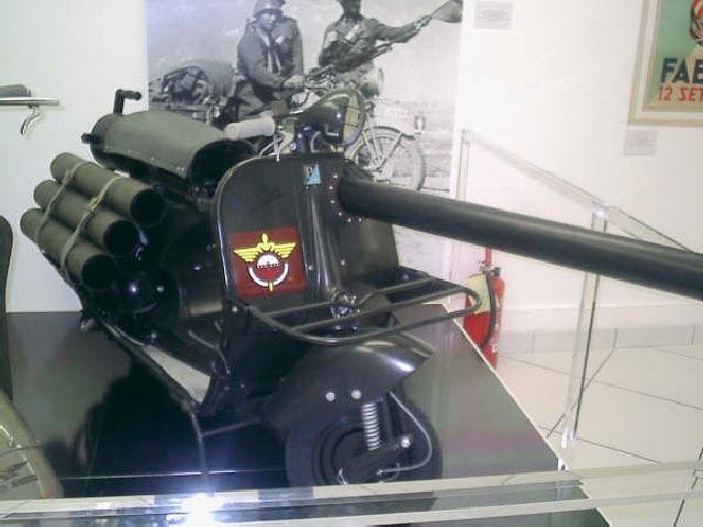 Vespa armata