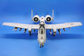 A-10A (155)