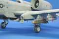 A-10A (179)