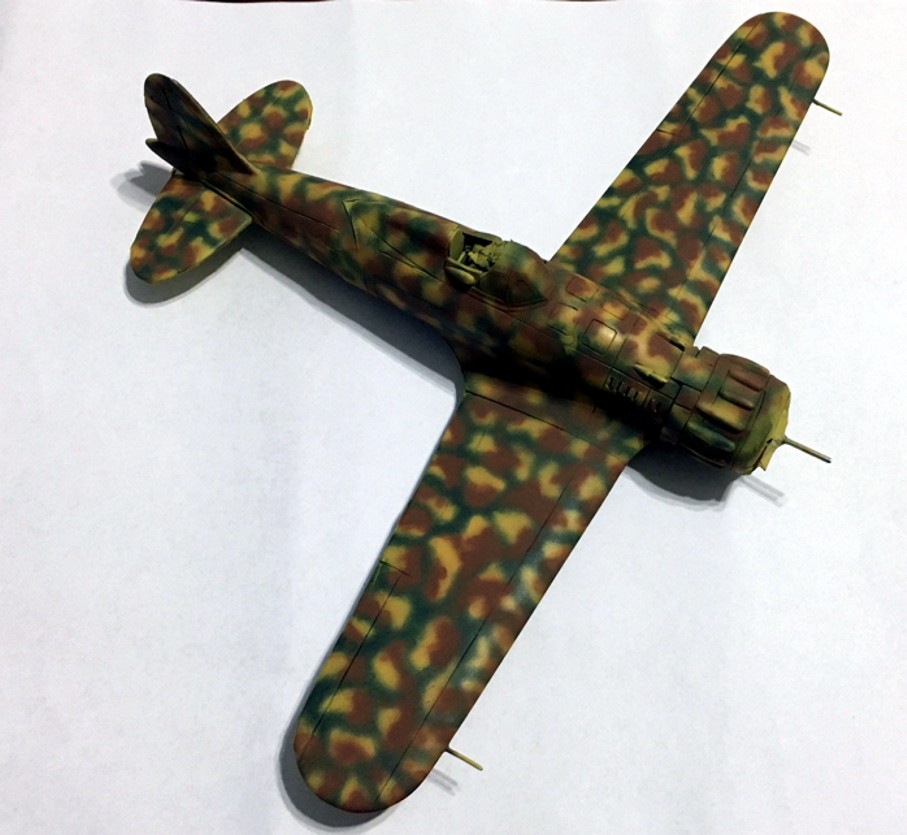 Macchi camo 6