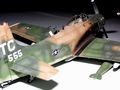 Skyraider1