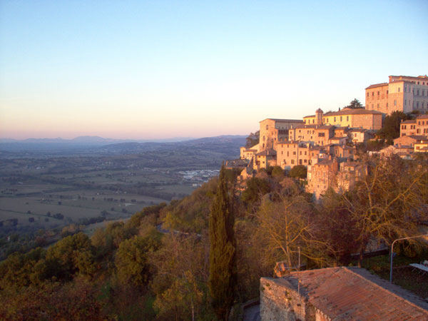 todi