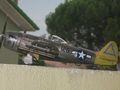 Copia di P-47 M+ (5)