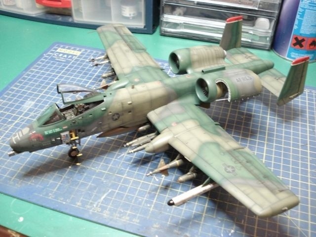 A-10A (498)