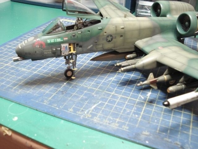 A-10A (499)