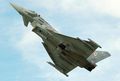 Eurofighter EF-2000_vol4 (16).jpeg