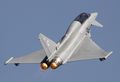 Eurofighter EF-2000_vol4 (159).jpeg