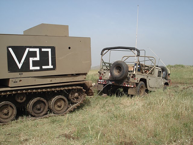 mlrs (10)