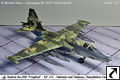 Michele Raus - Sukhoi Su-25K “Žralok” (Squalo)