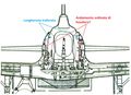 049_Sezione frontale_schema