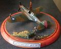 CP 2023 P-40E Revell Dont Worry 063