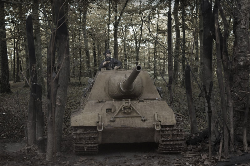 Jagdtiger in the woods