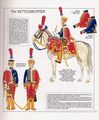 The French Imperial Guard-20