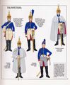 The French Imperial Guard-36