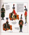 The French Imperial Guard-62