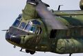 Boeing-Chinook CH-47_2 (70).jpeg