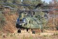 Boeing-Chinook CH-47_2 (71).jpeg