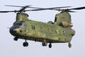 Boeing-Chinook CH-47_2 (72).jpeg