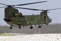 Boeing-Chinook CH-47_2 (73).jpeg