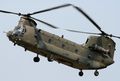 Boeing-Chinook CH-47_2 (107).jpeg