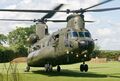 Boeing-Chinook CH-47_2 (116).jpeg