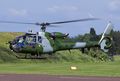 Westland-SA-341-Gazelle_2 (29).jpeg